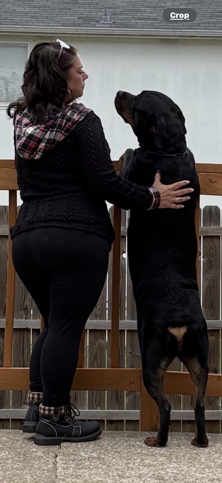 Austin Dog Manners Austin dog trainers