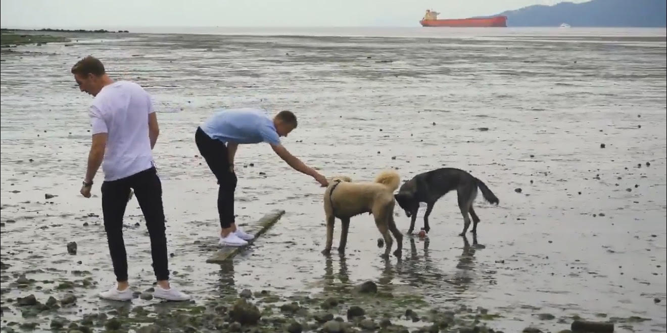 Two men on a wet rocky beach with two dogs one man bends to offer a treat or pat the tan dog while the black dog investigates nearby