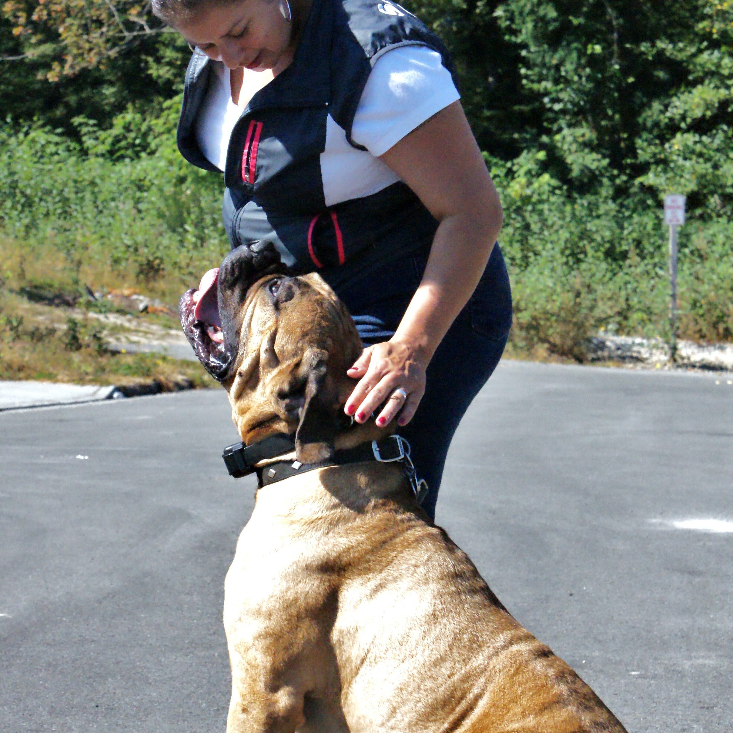 Austin dog trainer