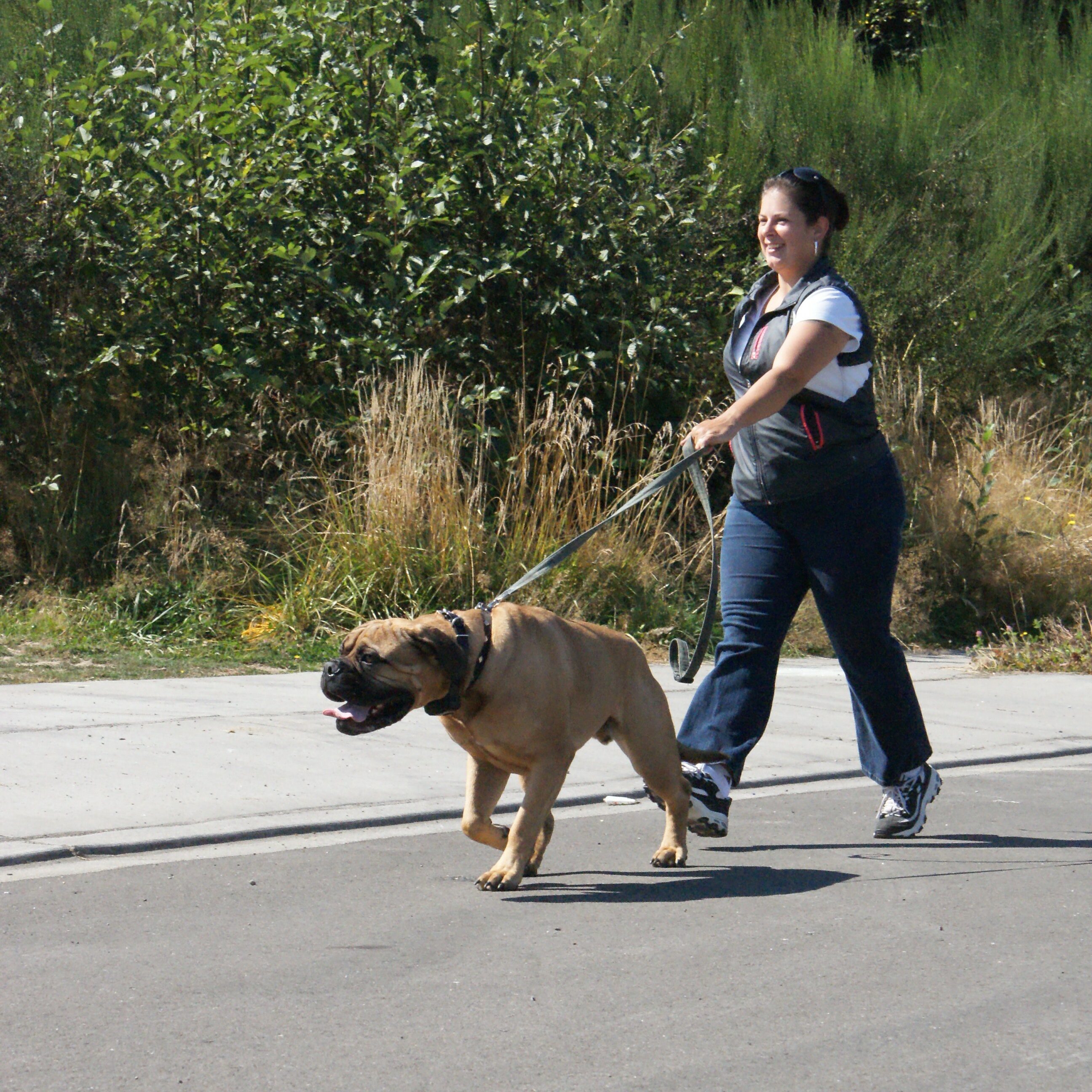 Round Rock dog trainers